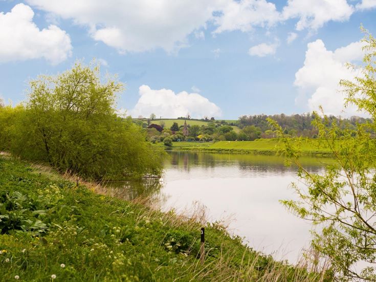 a river with trees and grass