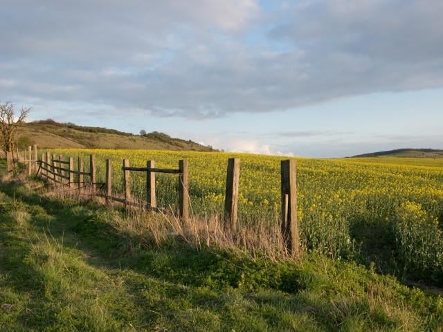 Dunstable Downs Bedfordshire