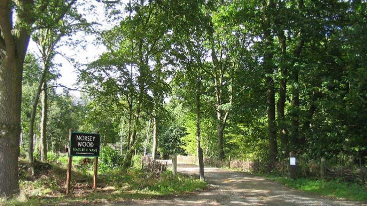 a sign in the woods
