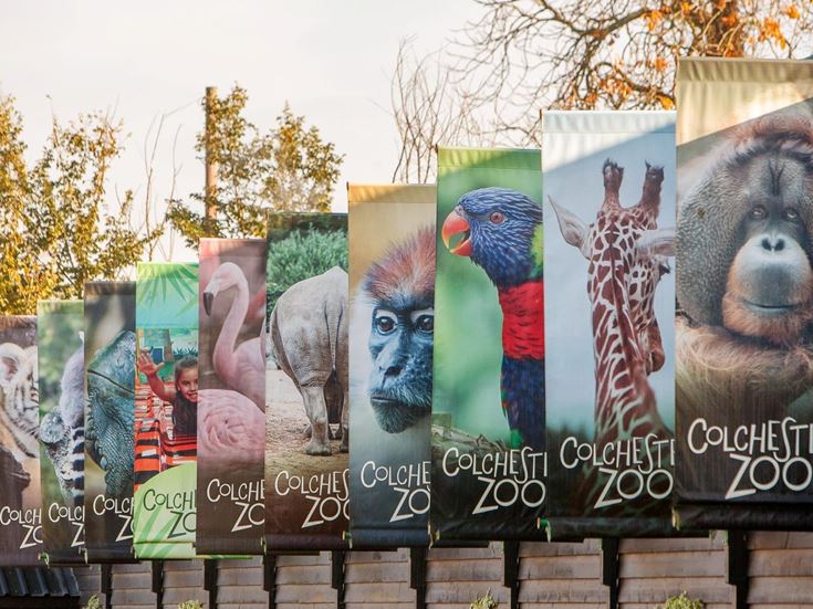Multiple banners featuring animals at the entrance to Colchester Zoo.