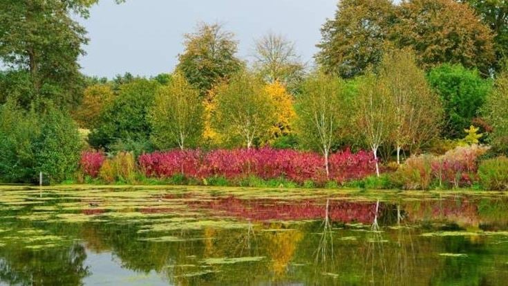 RHS Garden at Hyde Hall Chelmsford