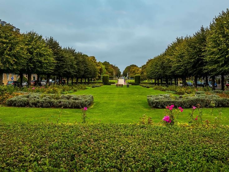 a large green lawn with trees and flowers