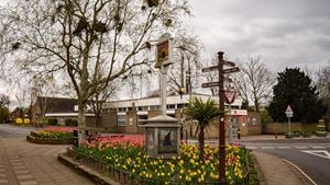 a flower bed in a park