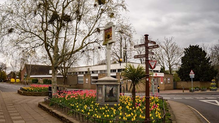 a flower bed in a park