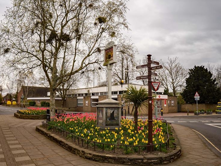 a flower bed in a park