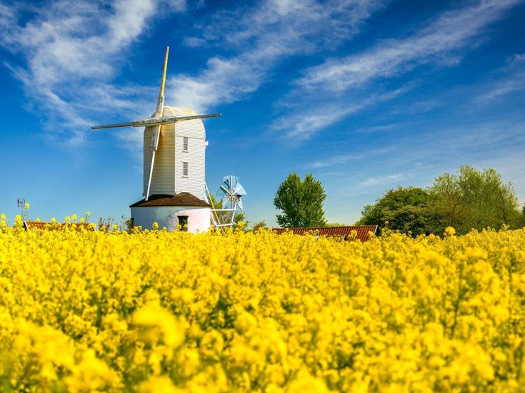 White windmill Norfolk