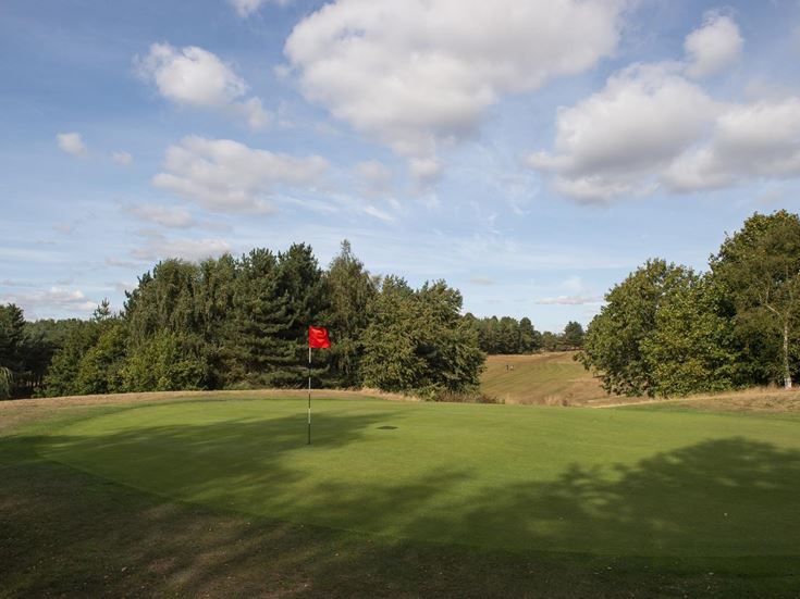 A golf green with flag in the ground on a sunny day.