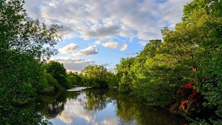 Kelsey Park, Beckenham, London with white clouds and trees reflected in the lake.