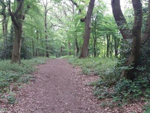 hillingdon_trail
