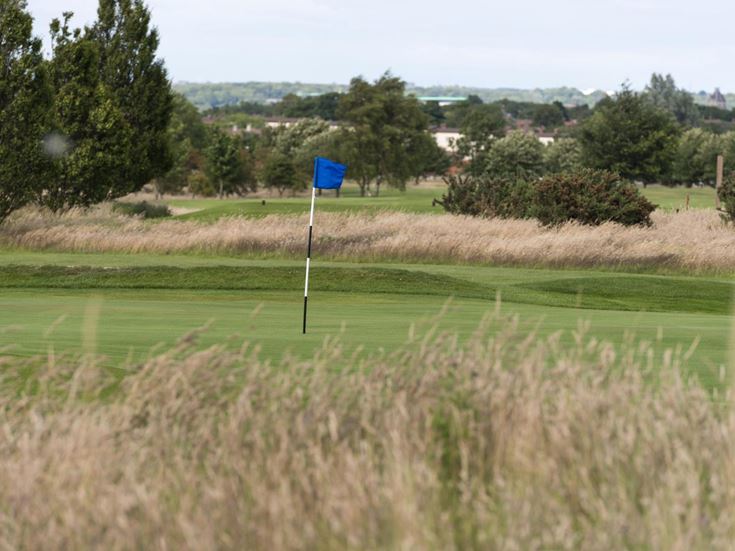 a flag on a pole in a field
