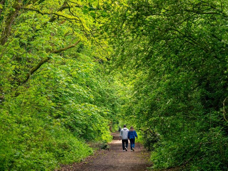 A couple walking in Wirral Country Park.