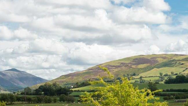 a landscape with hills and trees