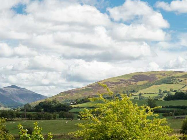 a landscape with hills and trees
