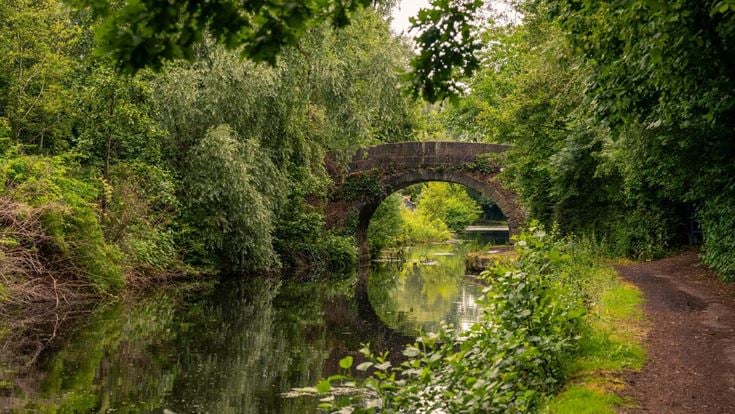 A path and bridge alongside Rochdale canal