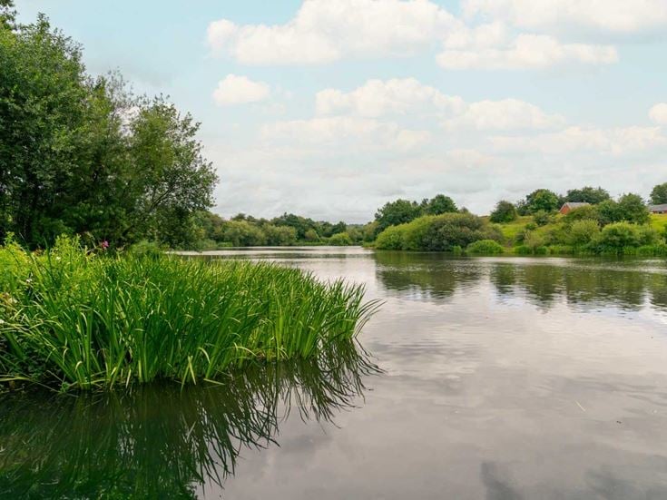 a body of water with grass and trees around it