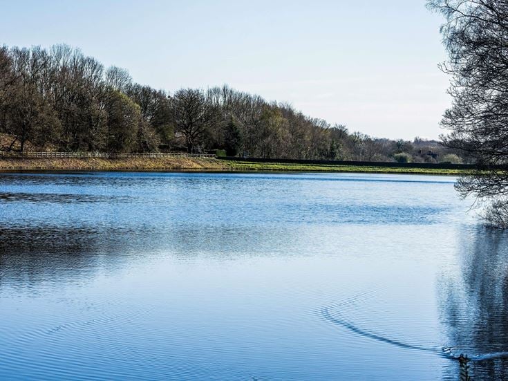 a body of water with trees in the background