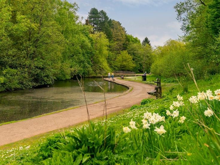 A path next to a lake at Bramall Hall, surrounded by trees and grass.