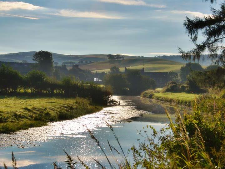a river running through a grassy field