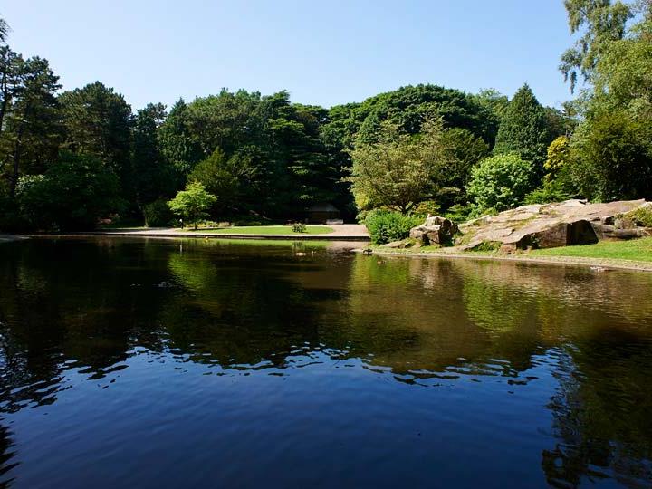 A lake in Williamson Park with trees around it.
