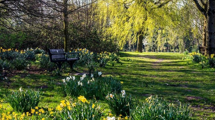 a bench in a park