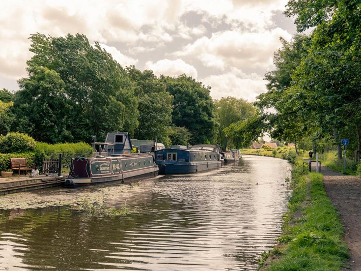 boats are parked on the side of the river