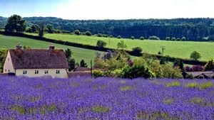 a house in a field of flowers