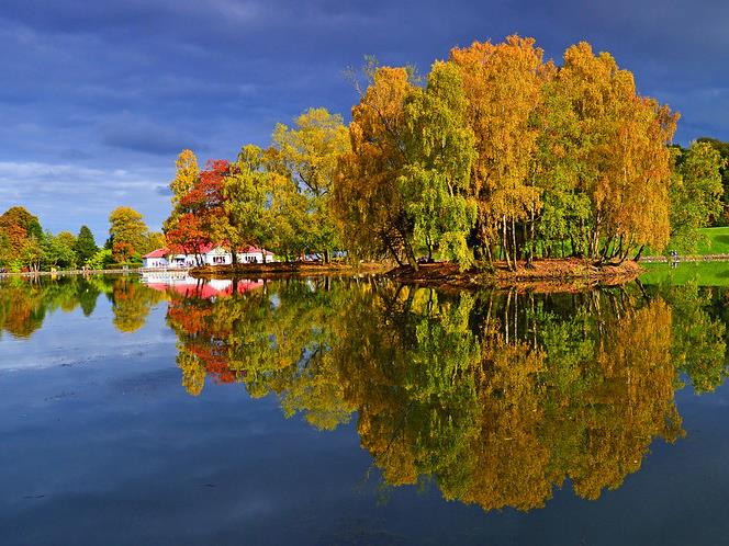 a body of water with trees around it