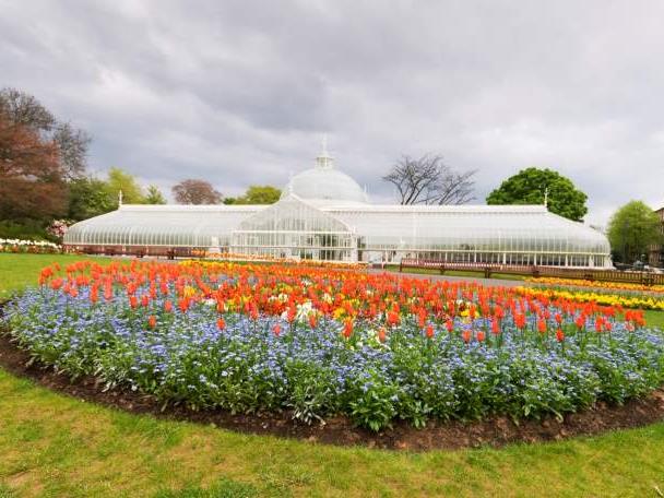 Glasgow Botanic Gardens