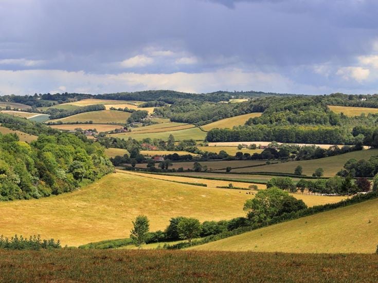 Rolling hills and woodland in the Chilterns National Landscape.