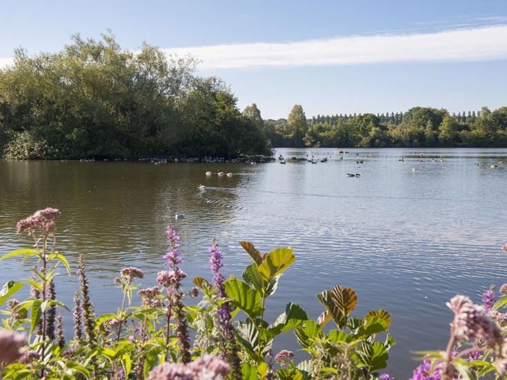 The Nature Discovery Centre and cafe is located beside Thatcham Lake