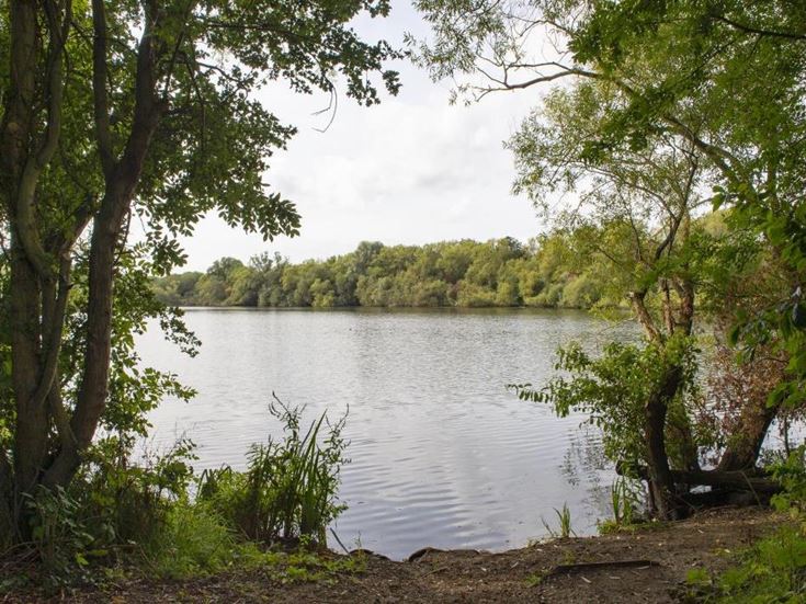 loddon house local lake