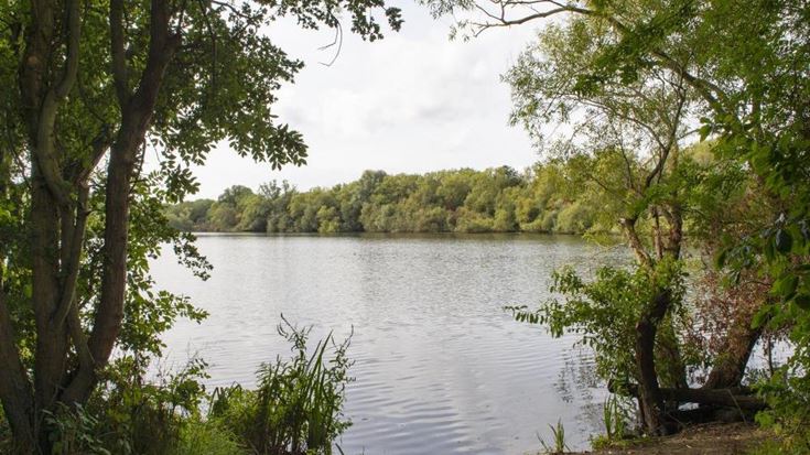 loddon house local lake