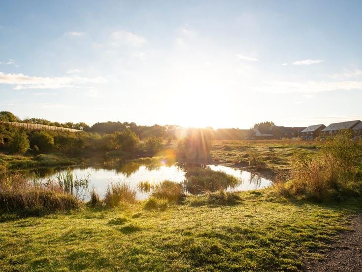 A body of water in Kentwood Meadow, Wokingham.
