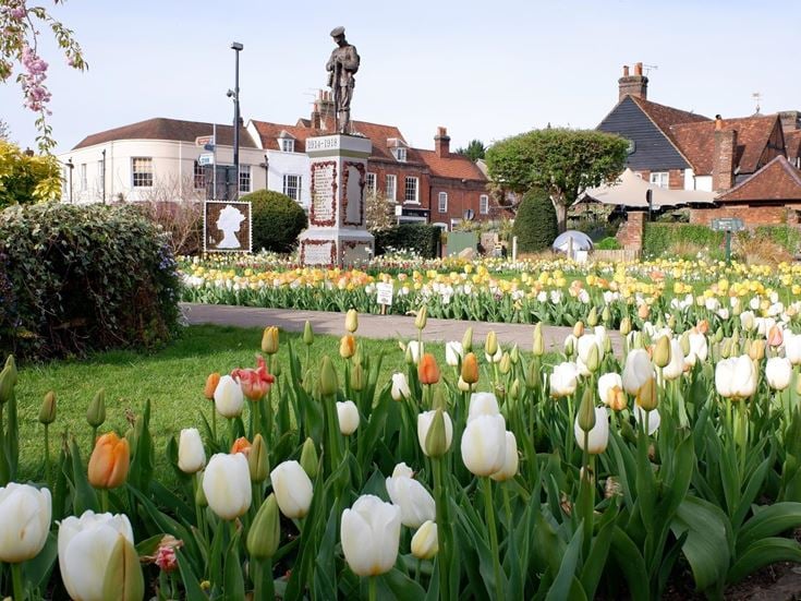 Tulips bordering a path and lawn with a statue in the background at Memorial Gardens in Old Amersham.