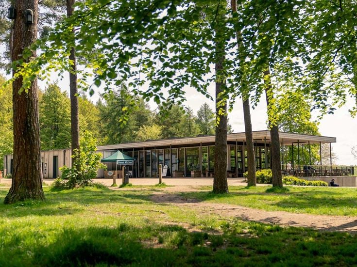 A café amongst trees and walking trails at Wendover Woods, near Aylesbury, Buckinghamshire.