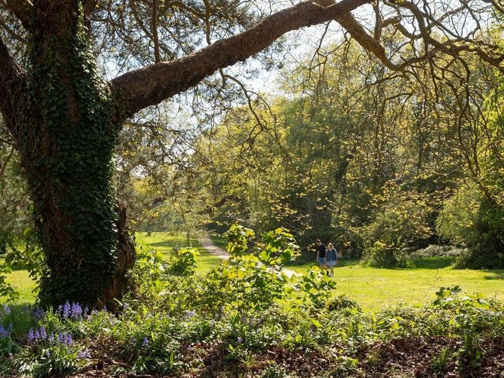 A retored couple walking in a park in Boorley Green, Hampshire