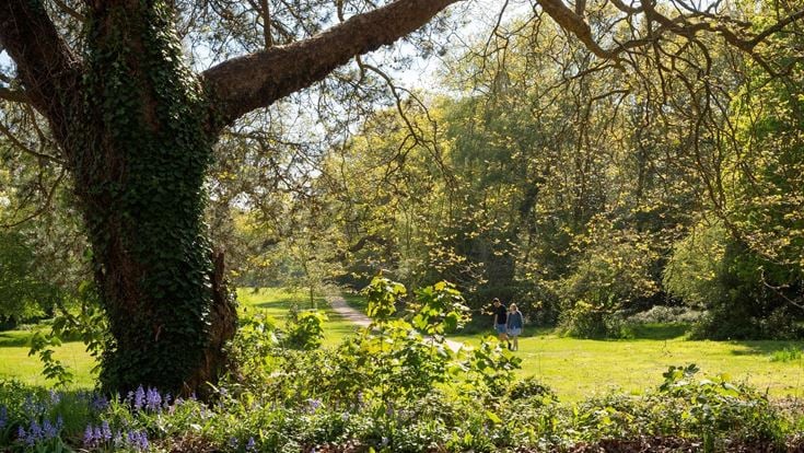 A retored couple walking in a park in Boorley Green, Hampshire