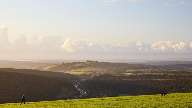 View of South Downs Bunster Hill in Bordon, Hampshire