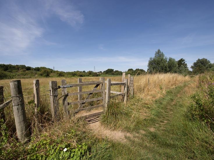 View of the countryside in Hook, Hampshire.