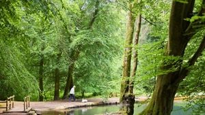 A senior woman walking her dog by a lake at Waggoner’s Wells, near Liphook.