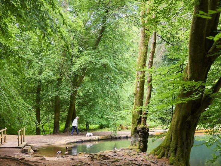 A senior woman walking her dog by a lake at Waggoner’s Wells, near Liphook.