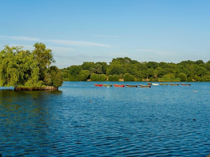 Petersfield Pond Walk in Hampshire.