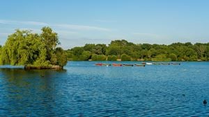 Petersfield Pond Walk in Hampshire.