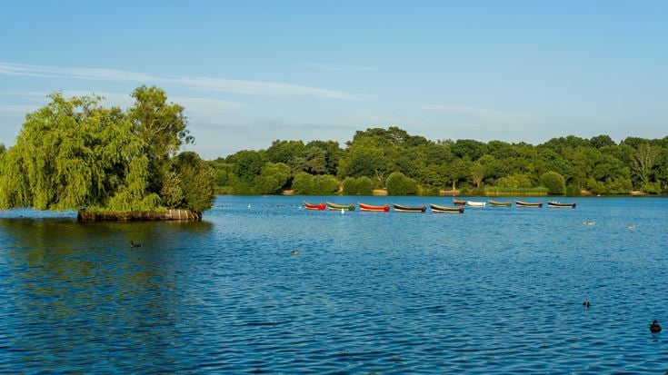 Petersfield Pond Walk in Hampshire.