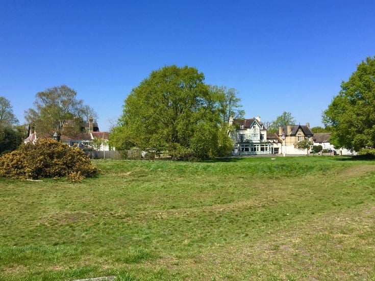a grassy field with trees and houses in the background