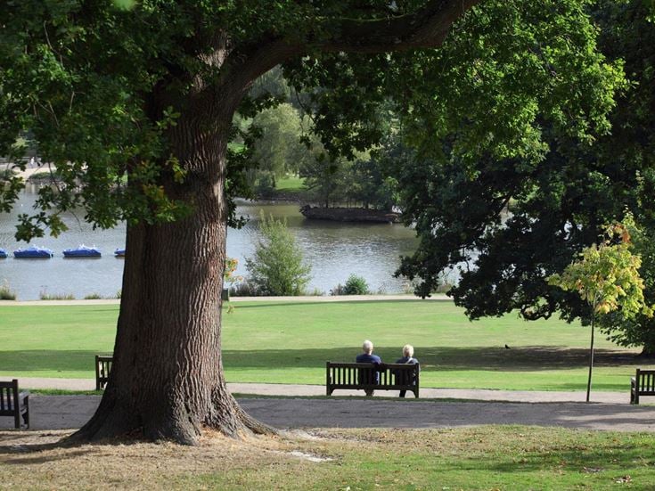 A couple sitting on a bench under a tree in Dunorlan Park, Tunbridge Wells.