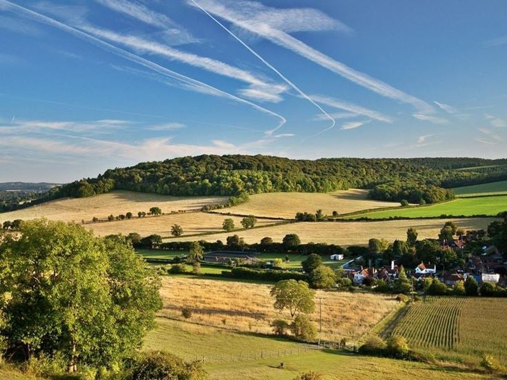 a large field with trees and people in it