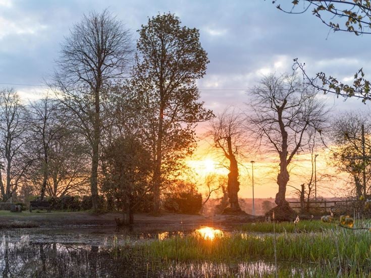 a grassy field with trees and a body of water in the background