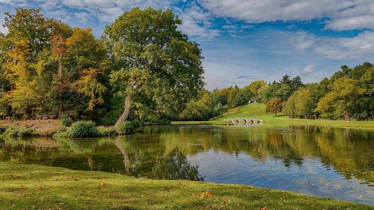 a pond surrounded by trees