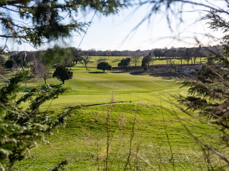 Purley Downs Golf Club offering the peace and tranquility of the countryside.